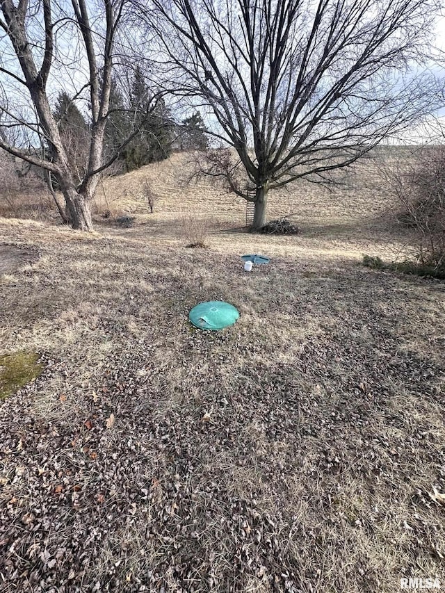 view of yard featuring a rural view