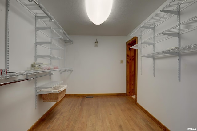 spacious closet with light wood-type flooring