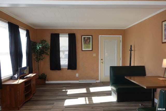 office area featuring dark wood-type flooring, ornamental molding, a baseboard heating unit, and plenty of natural light