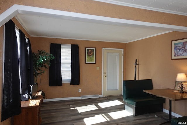 office featuring ornamental molding and dark hardwood / wood-style flooring