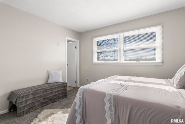 carpeted bedroom with multiple windows