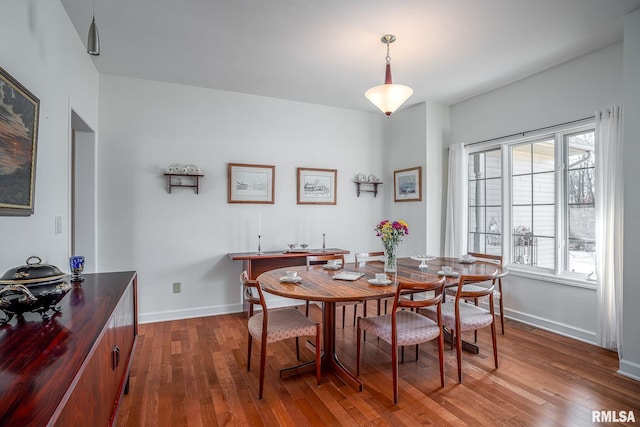 dining room featuring dark wood-type flooring