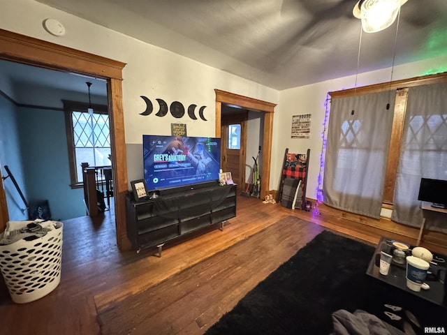 living room with hardwood / wood-style flooring and a wealth of natural light