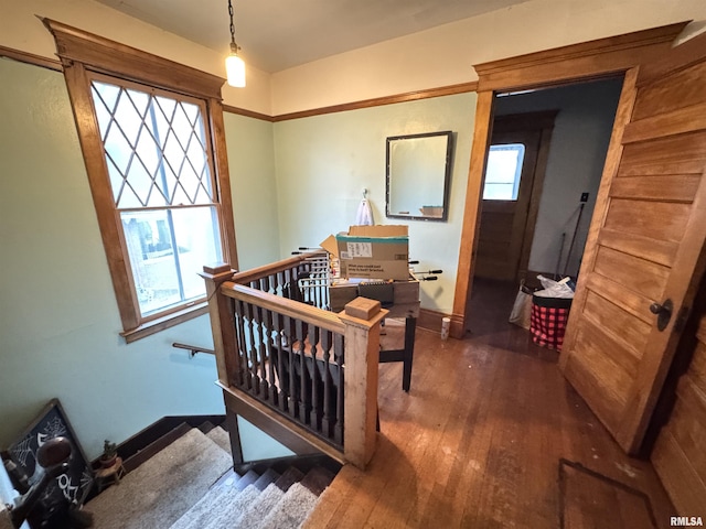 bedroom with dark wood-type flooring