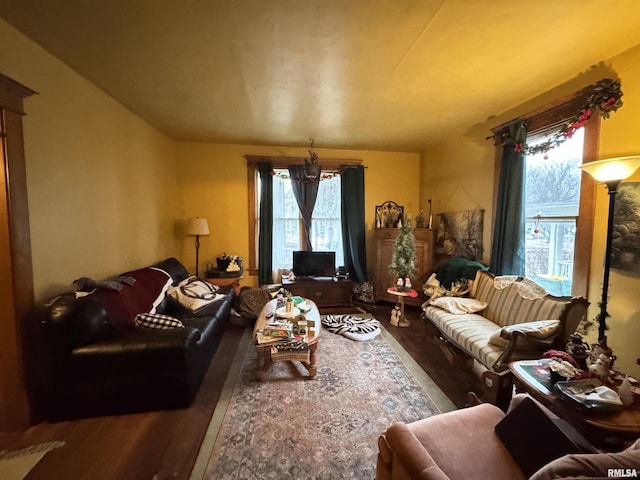 living room featuring hardwood / wood-style flooring