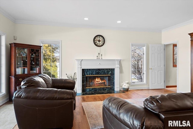 living room with hardwood / wood-style flooring, a premium fireplace, and ornamental molding