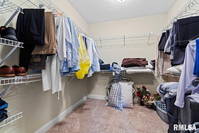 walk in closet featuring carpet floors