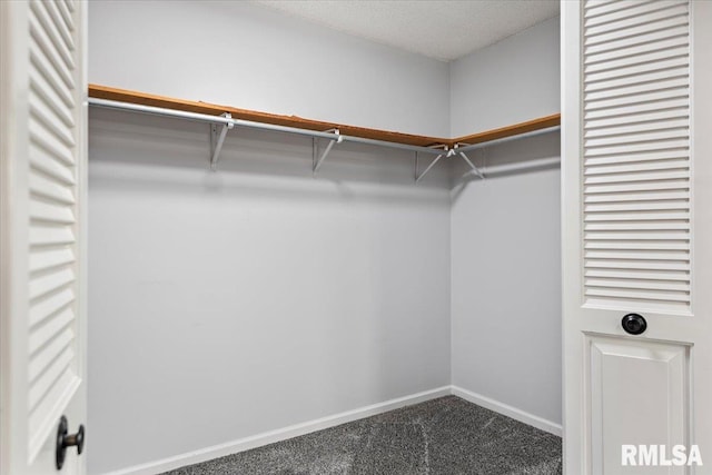 spacious closet with carpet floors