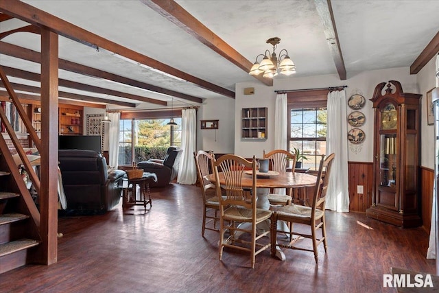 dining room with dark hardwood / wood-style floors, a healthy amount of sunlight, a notable chandelier, and beam ceiling