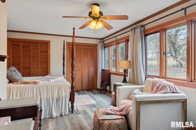 bedroom with crown molding, two closets, ceiling fan, and light wood-type flooring