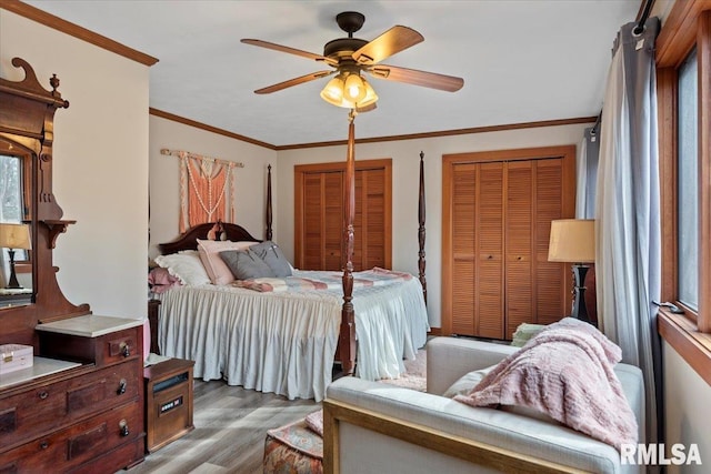 bedroom with multiple closets, ornamental molding, ceiling fan, and light hardwood / wood-style flooring