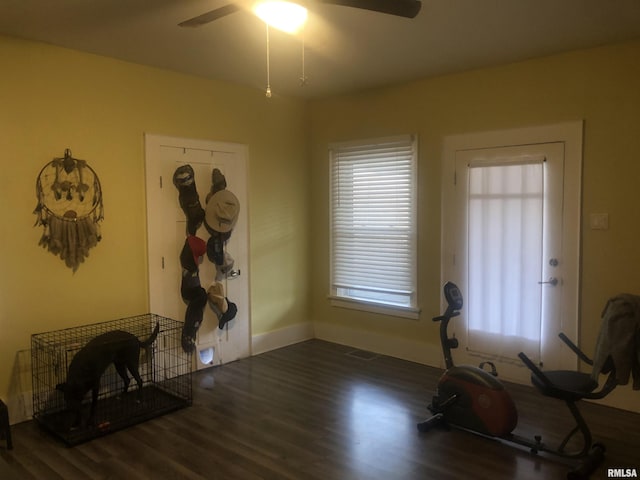 exercise area featuring dark wood-type flooring and ceiling fan