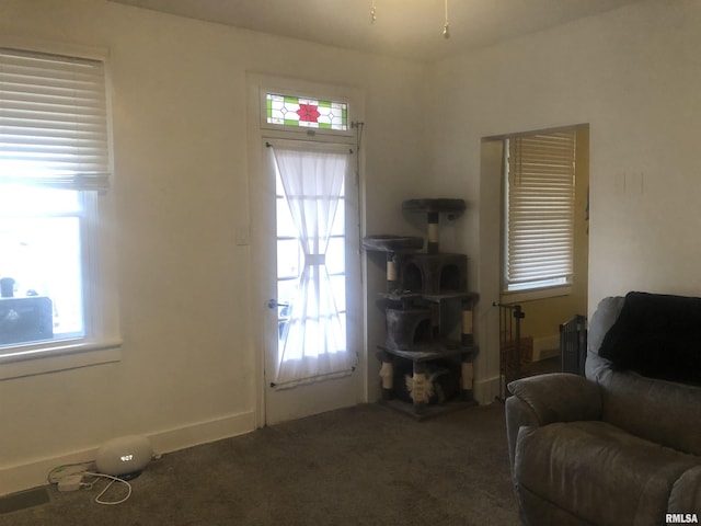 sitting room with carpet flooring