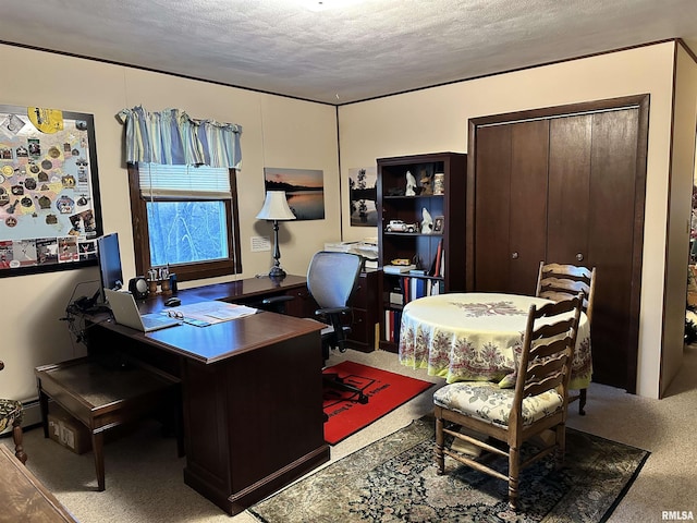 home office with carpet and a textured ceiling