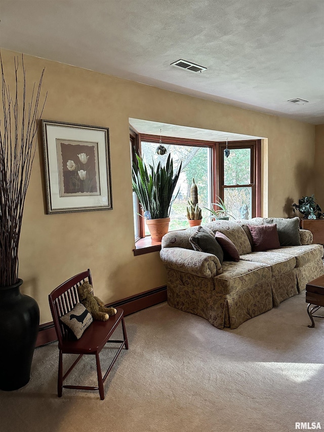 living room featuring light colored carpet, a textured ceiling, and baseboard heating