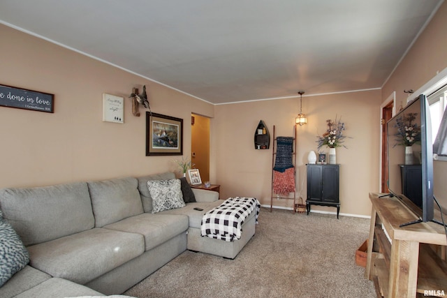 living room featuring carpet floors