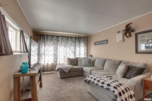 living room with ornamental molding and carpet flooring