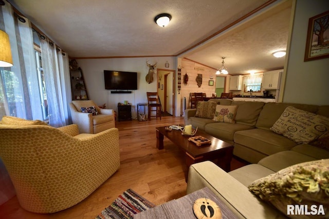 living room with ornamental molding, vaulted ceiling, light hardwood / wood-style flooring, and a textured ceiling