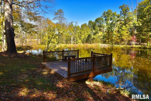 dock area with a water view