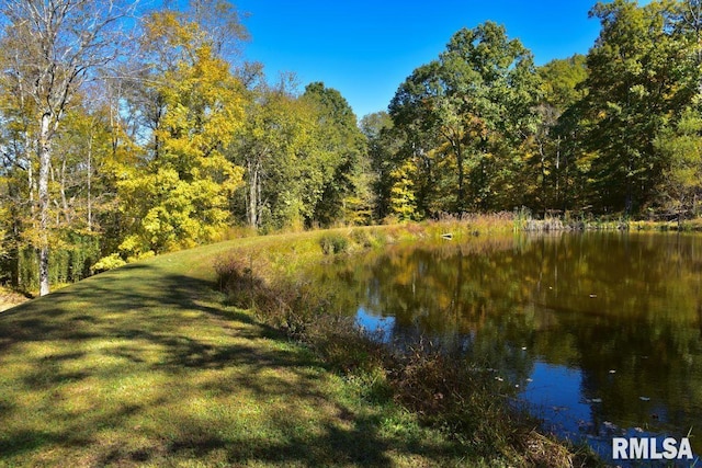 property view of water