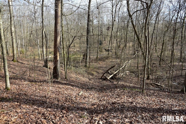 view of local wilderness