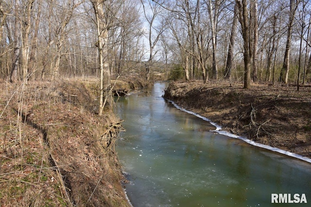 view of water feature