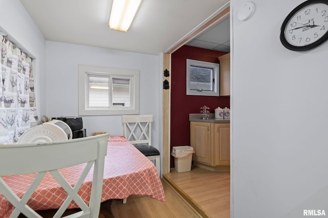 bedroom with light hardwood / wood-style flooring