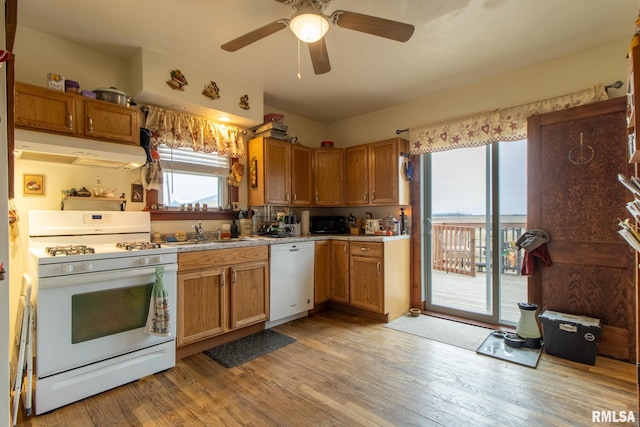 kitchen with ceiling fan, sink, white appliances, and light hardwood / wood-style flooring