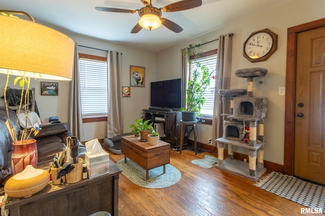 living room featuring hardwood / wood-style floors and ceiling fan