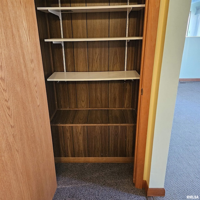 view of closet