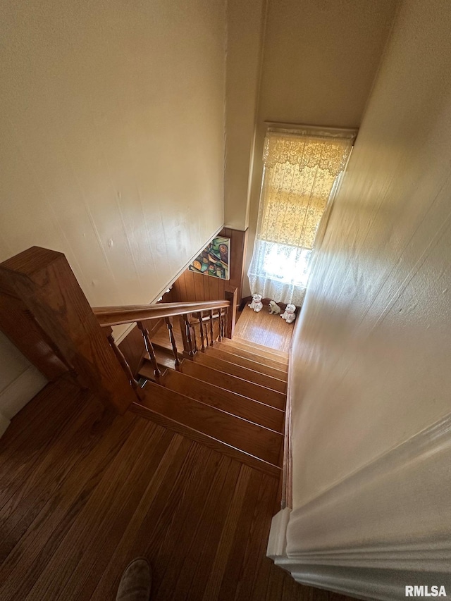 stairs with wood-type flooring and wooden walls