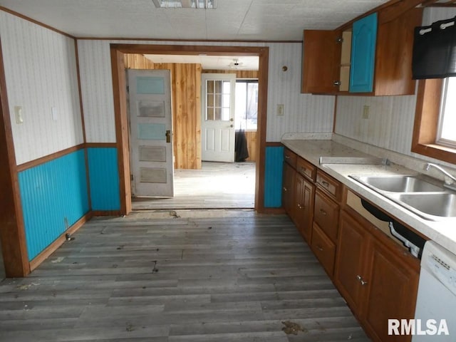 kitchen featuring dark hardwood / wood-style floors, sink, and white dishwasher