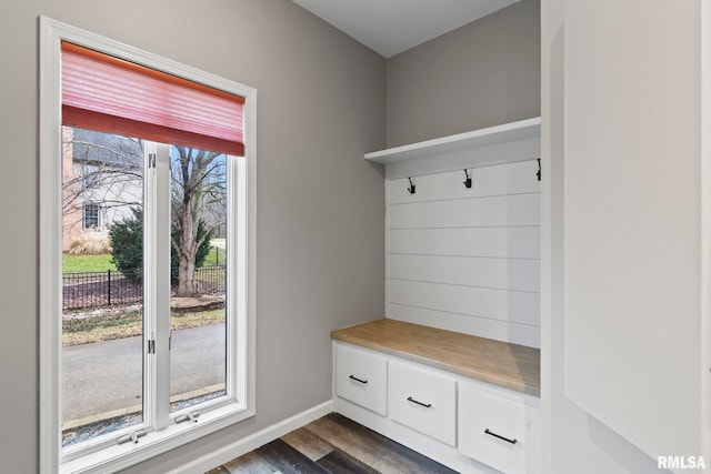 mudroom featuring dark wood-type flooring