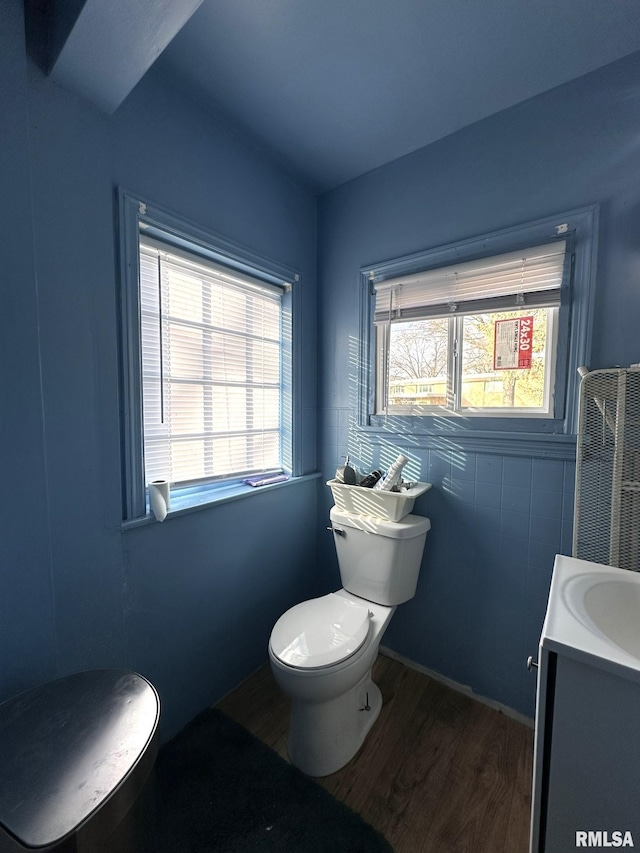 bathroom with vanity, wood finished floors, and toilet