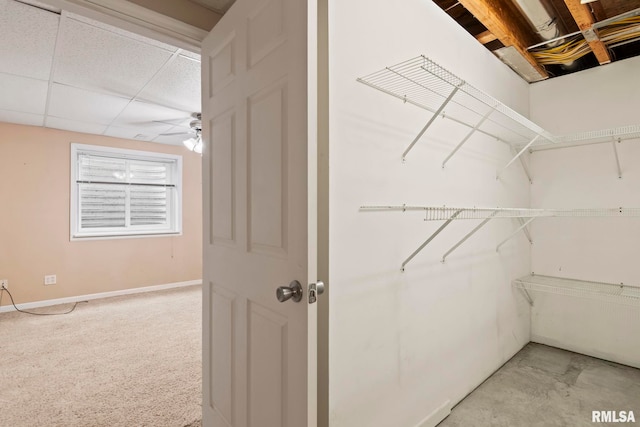 spacious closet with a paneled ceiling