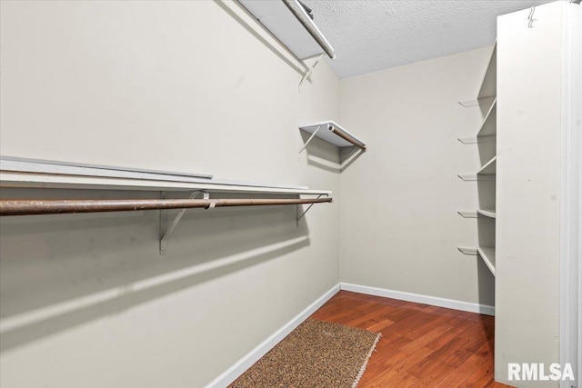 spacious closet featuring wood finished floors