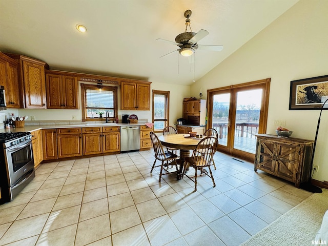 kitchen with vaulted ceiling, a healthy amount of sunlight, stainless steel appliances, and sink