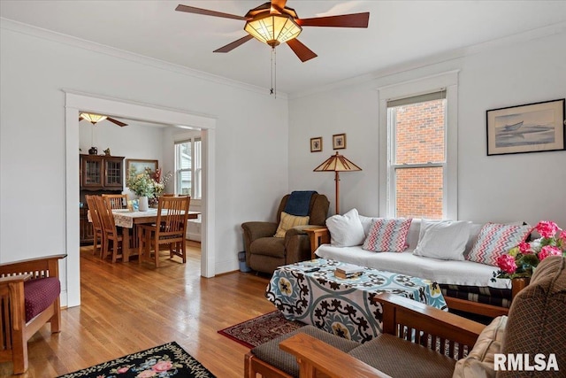 living room featuring crown molding, ceiling fan, and light hardwood / wood-style flooring