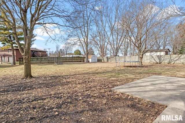 view of yard with a patio area, a trampoline, and a shed