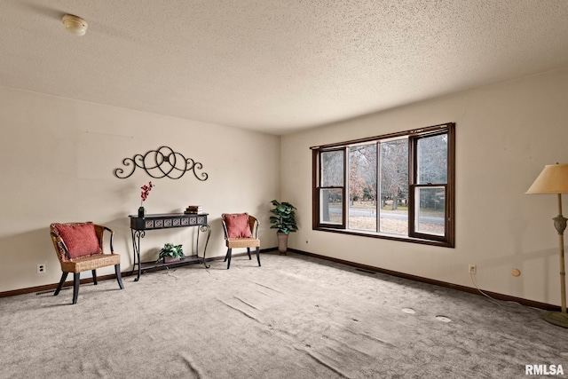 living area featuring carpet and a textured ceiling