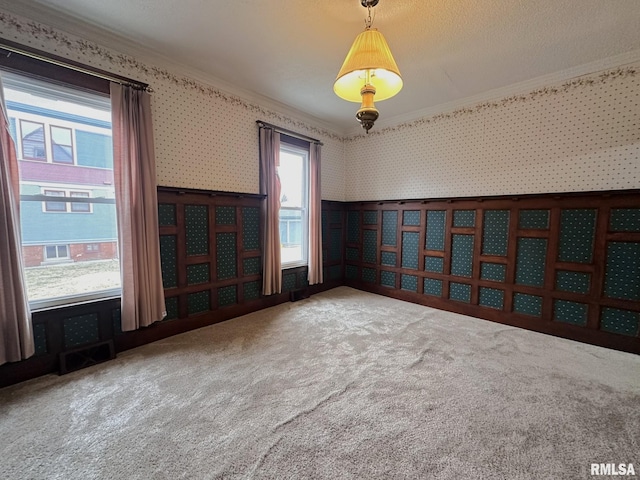 carpeted spare room with crown molding and a textured ceiling