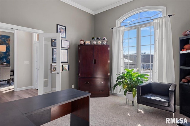 office space with crown molding