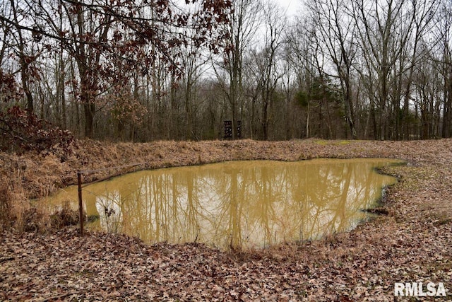 view of water feature