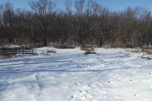 view of yard covered in snow