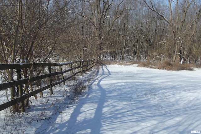 view of yard covered in snow