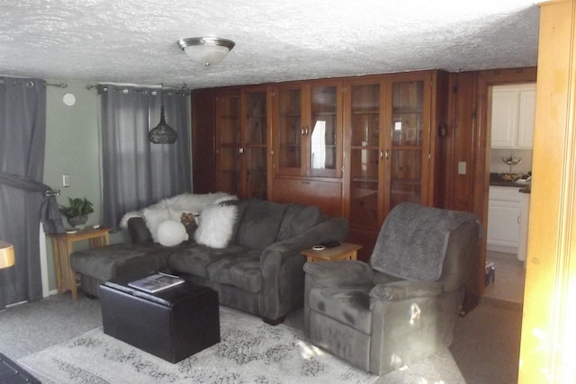 carpeted living room featuring a textured ceiling