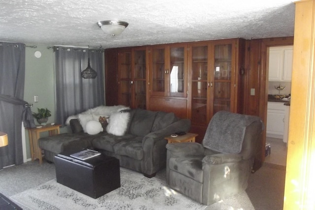 living room featuring a textured ceiling