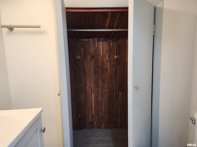 interior space featuring vanity and wood walls