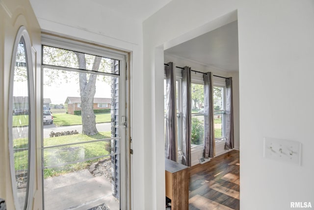 doorway with wood finished floors