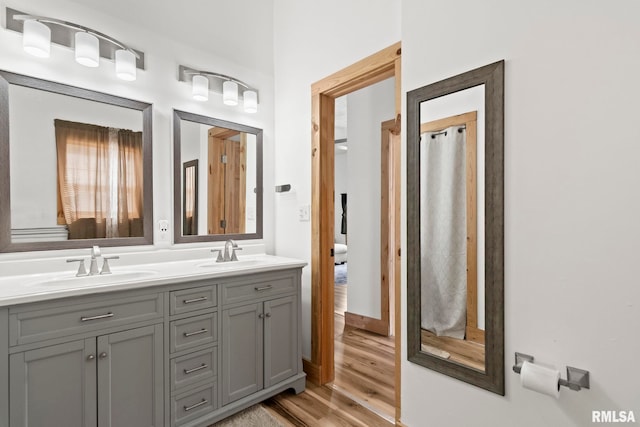 bathroom with hardwood / wood-style flooring and vanity